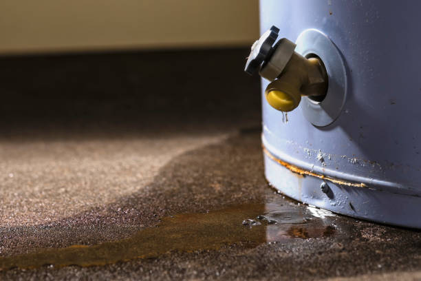 Best Water damage restoration process  in Marion, MT