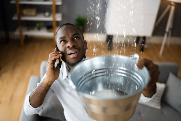 Best Emergency water damage restoration  in Marion, MT