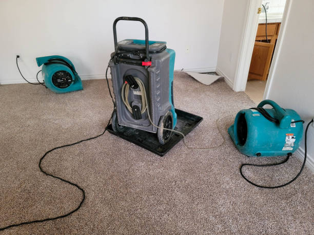 Best Water damage restoration near me  in Marion, MT