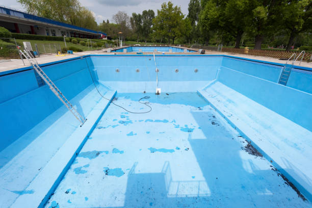 Best Professional water damage repair  in Marion, MT