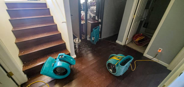 Water damage restoration process in MT