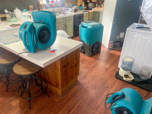 Best Mold removal after water damage  in Marion, MT