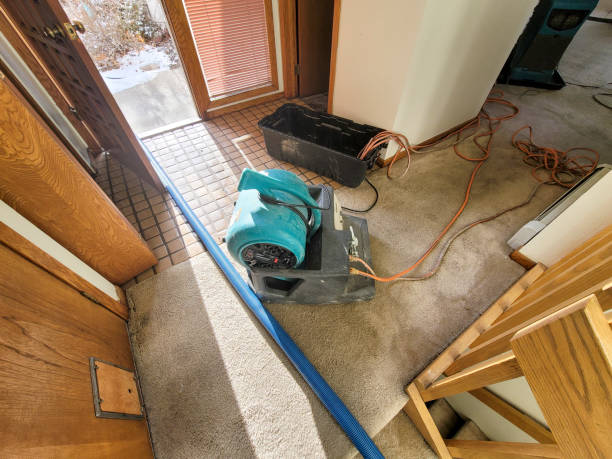 Best Ceiling water damage repair  in Marion, MT