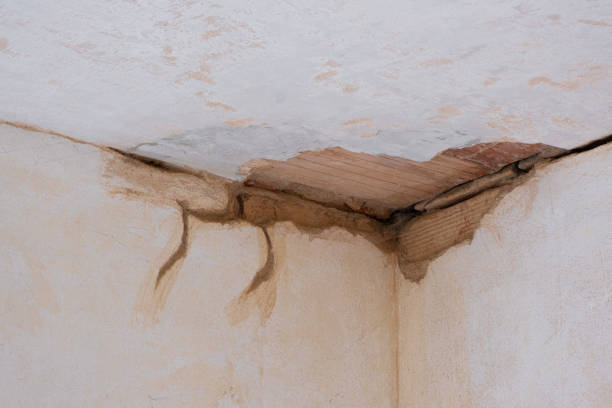 Best Basement water damage restoration  in Marion, MT