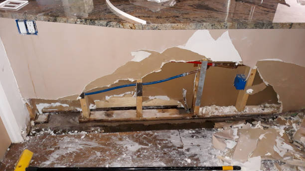 Best Flood restoration services  in Marion, MT
