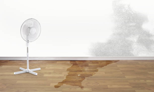 Best Fire Damage Restoration  in Marion, MT