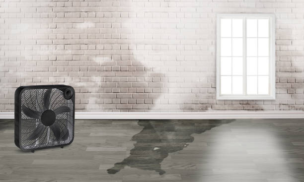 Best 24/7 water damage repair  in Marion, MT