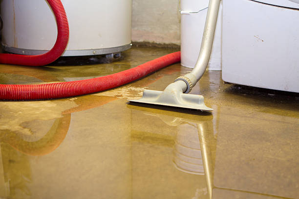 Best Local water damage restoration  in Marion, MT