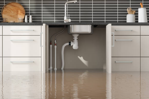 Best Flood damage cleanup  in Marion, MT