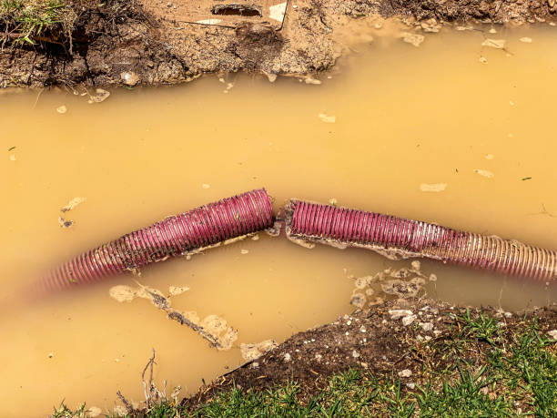 Professional Water damage restoration in MT