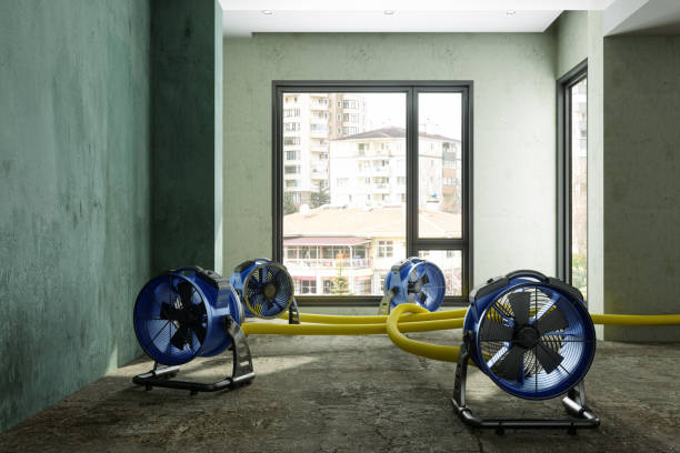 Best Ceiling water damage repair  in Marion, MT