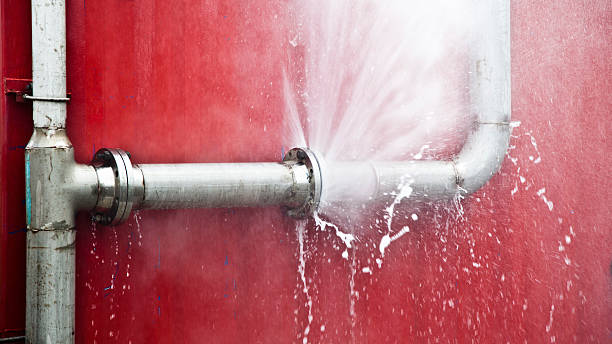 Best Carpet water damage restoration  in Marion, MT