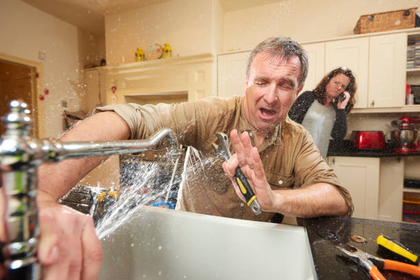 Best Basement water damage restoration  in Marion, MT